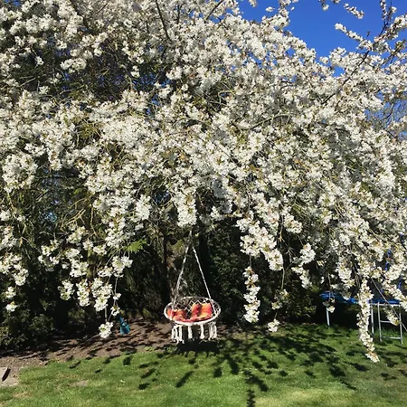 Apartament Ferienwohnung-rickert-nr-2