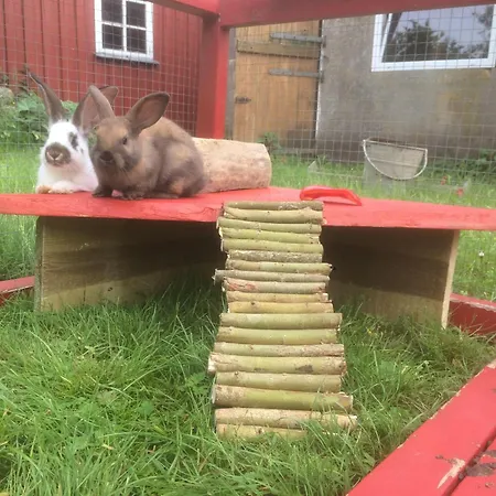 Ferienwohnung-rickert-nr-2 Apartament *