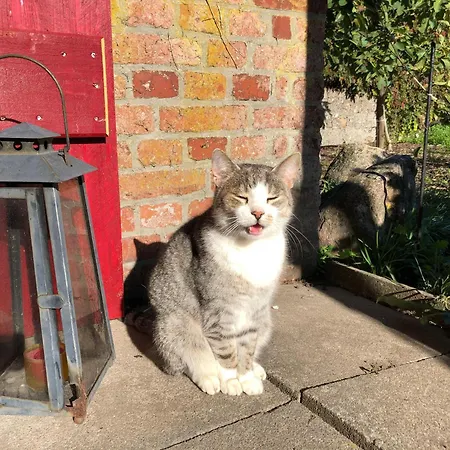 Ferienwohnung-rickert-nr-2 Hinrichsdorf