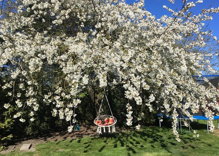 Apartment Rickert Nr.2