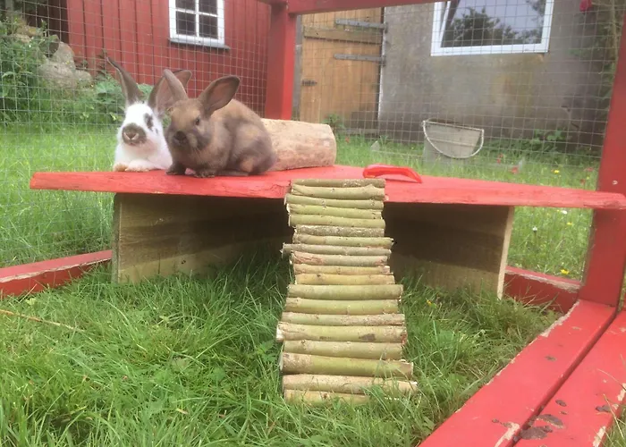 Rickert Nr.2 Apartment *